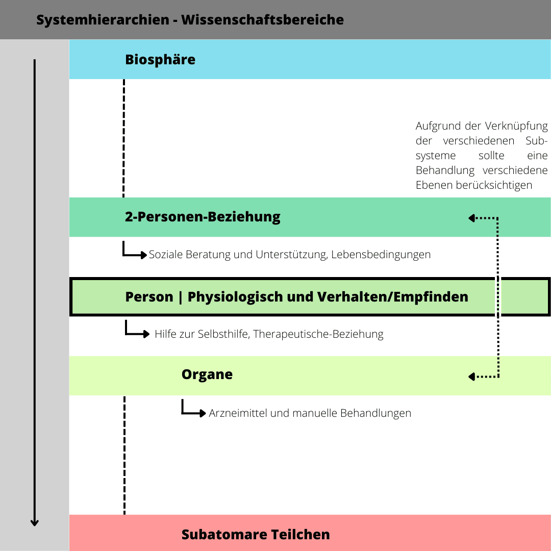 Grafische Darstellung der multimodalen Therapie zur Berücksichtigung biologischer, psychischer und sozialer Faktoren.