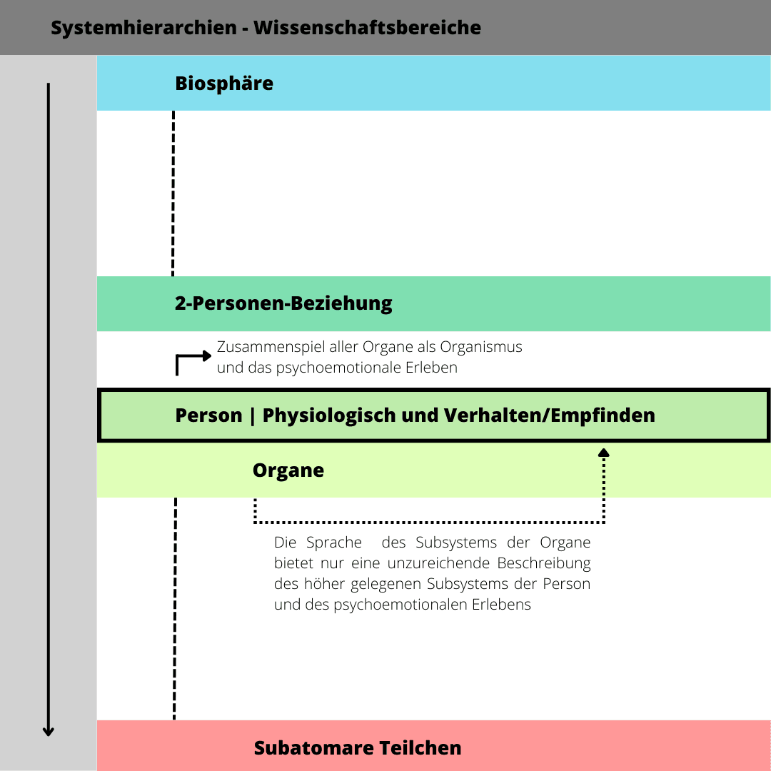 Infografik zur Systemhierarie: Die Herausforderung, organische Prozesse sprachlich auf die persönliche Ebene zu übertragen
