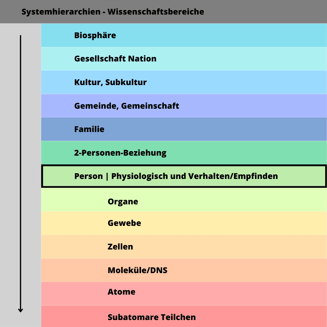 Die Systemhierarchie umfasst neben der Umwelt auch den Menschen.