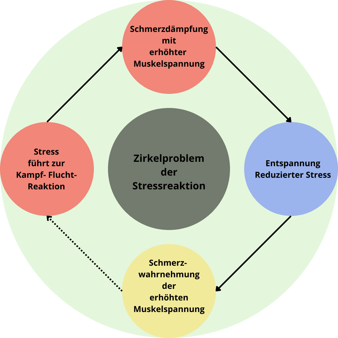 Schmerzen können eine Stressreaktion auslösen, welche die Schmerzwahrnehmung fördern kann.