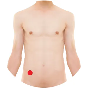 Gallenblase 27 befindet sich direkt vor dem vorderen oberen Darmbeinstachel.