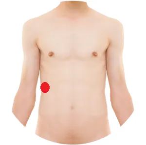 Leber 13 liegt unmittelbar vor dem Kopf der elften Rippe.