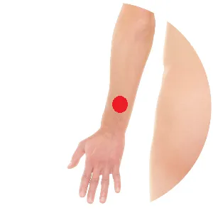 San Jiao 6 liegt an der Außenseite des Unterarms zwischen Elle und Speiche, ungefähr eine Handbreit von der Handgelenksfalte entfernt.