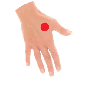 Der Punkt Dickdarm 4 liegt in der Muskulatur zwischen Daumen und Zeigefinger.