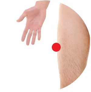 Gallenblase 31 liegt auf der äußeren Hosennaht, auf Höhe der Fingerkuppen im Stehen.