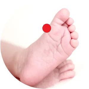 Milz 3 befindet sich hinter dem Großzehengrundgelenk.