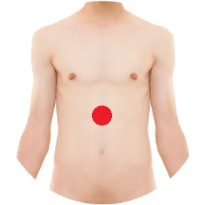 Ren 14 liegt als Areal auf der Mittellinie des vorderen Körpers, wenige Finger unterhalb des Rippenwinkels.