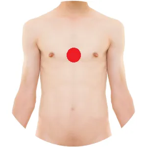 Ren 17 liegt mittig auf dem Brustbein.