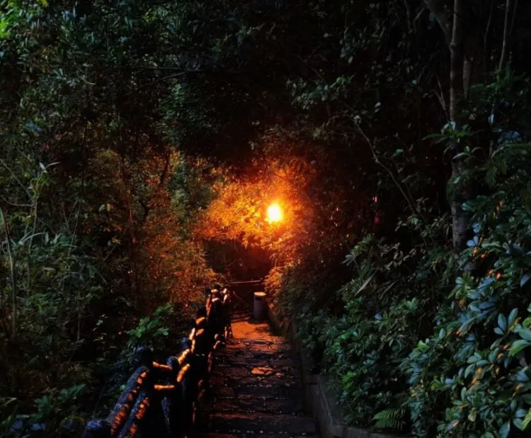 Ein abschüssiger Berg in der Nacht mit einem Licht am Ende des Weges, welches den Weg erhellt und wärme ausstrahlt.