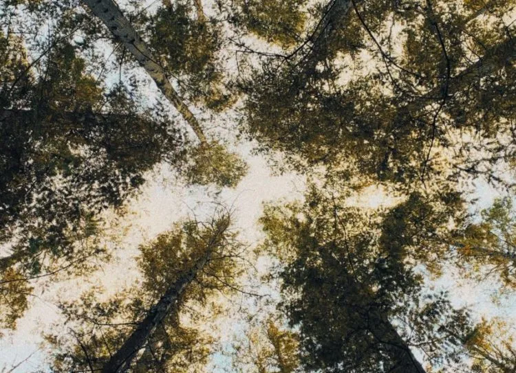 Bei Schwindel kann man schnell den Boden unter den Füßen verlieren und stürzen.