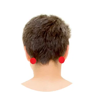 Anmian liegt direkt unterhalb des Warzenfortsatzes.