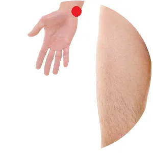 Herz 7 liegt direkt unter dem Erbenbein am Handgelenk.