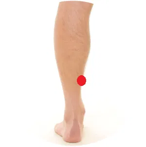 Milz 6 liegt eine Handbreit über dem inneren Knöchel am Unterschenkel.