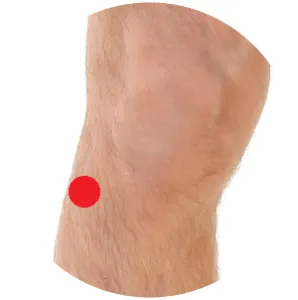 Gallenblase 34 liegt unterhalb des Wadenbeinkopfes.