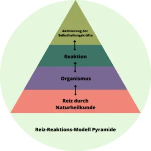 Zur Naturheilkunde zählen viele verschiedene Verfahren.