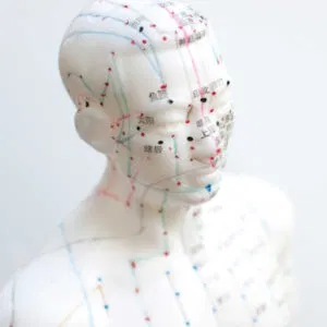 Eine Figur mit den Leitbahnen der chinesischen Medizin.