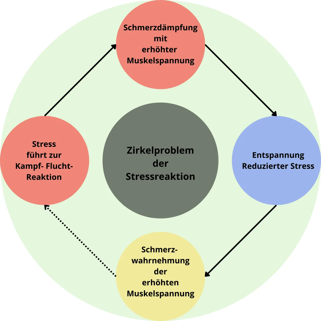 Schmerzen lösen häufig eine Stressreaktion aus, welche wiederum Schmerzen auslösen kann.