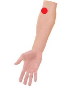 Lungen 5 wirkt sich positiv auf die Atmung aus.