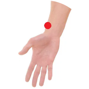 Lunge 7 ist einer der wichtigsten Akupunkturpunkte.