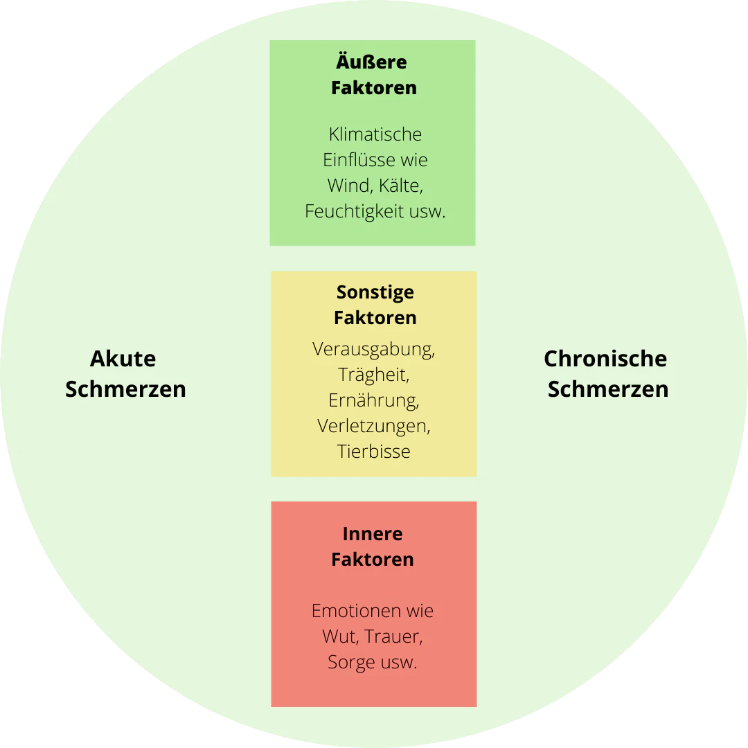 Infografik zu den drei Hauptfaktoren von Schmerz aus Sicht der Traditionellen Chinesischen Medizin.