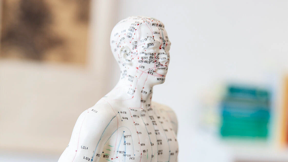 Modell einer Akupunkturpuppe zur Darstellung der Leitbahnen und Akupunkturpunkte.