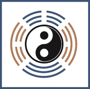 Praxislogo TCM Putzer Yin Yang Hexagramm
