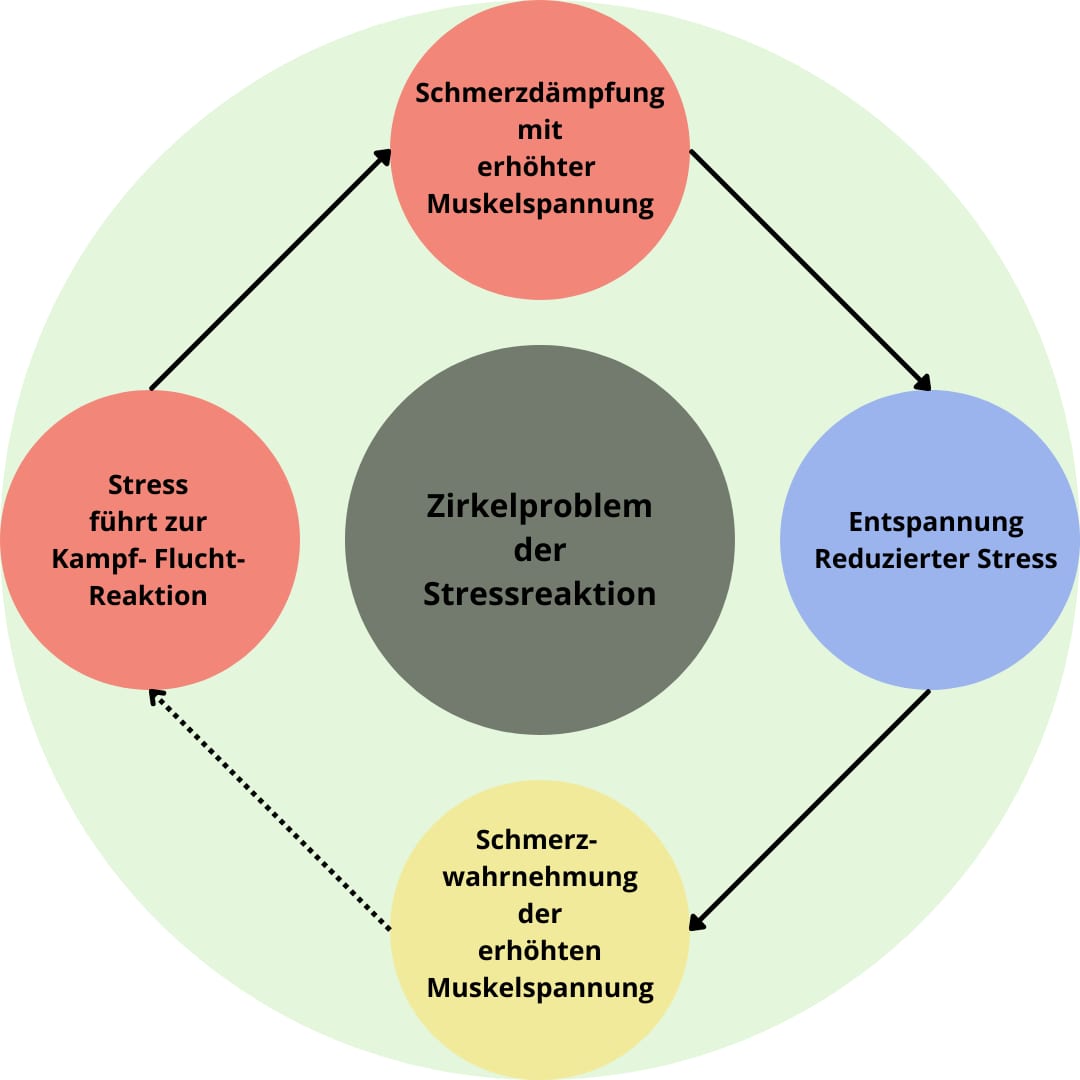 Schmerzen können eine Stressreaktion auslösen, welche die Schmerzwahrnehmung fördern kann.